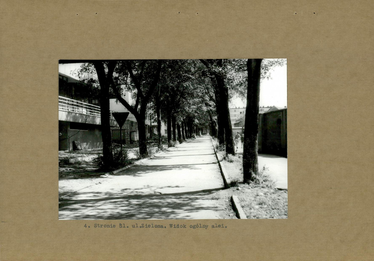 Ewidencja parkowa, skan nr 14