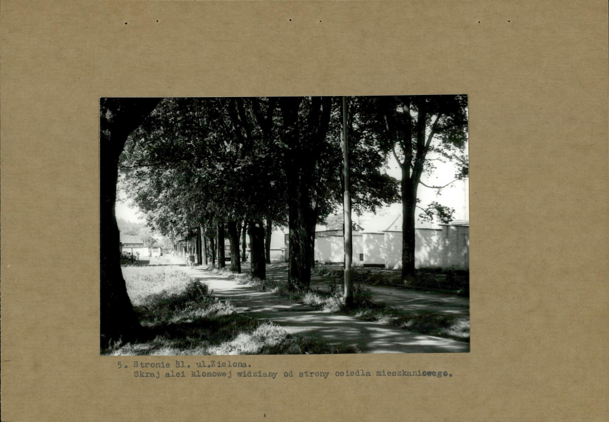 Ewidencja parkowa, skan nr 15