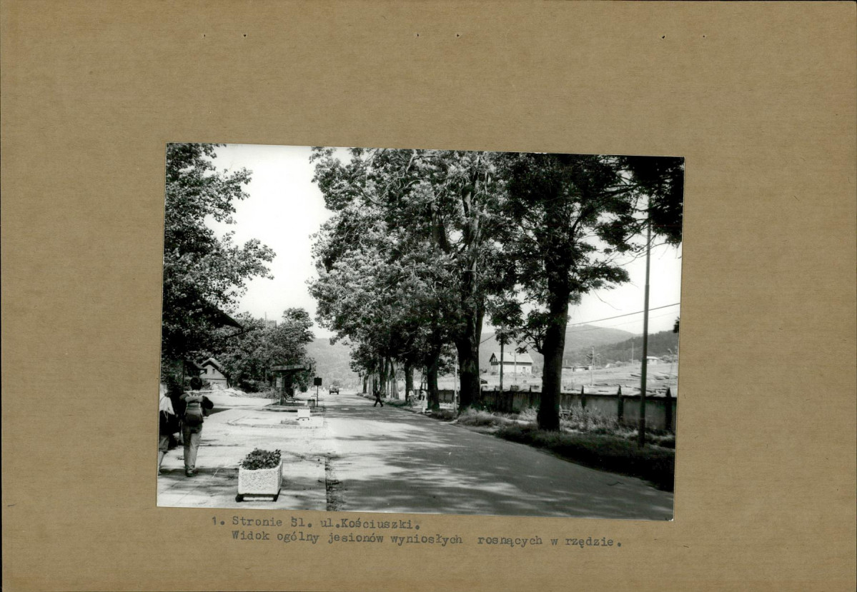 Ewidencja parkowa, skan nr 10