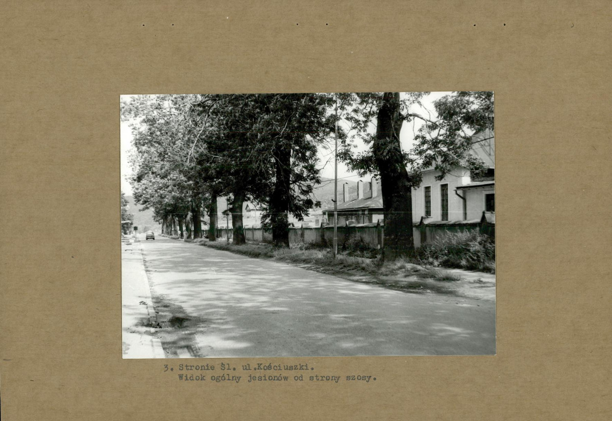 Ewidencja parkowa, skan nr 12