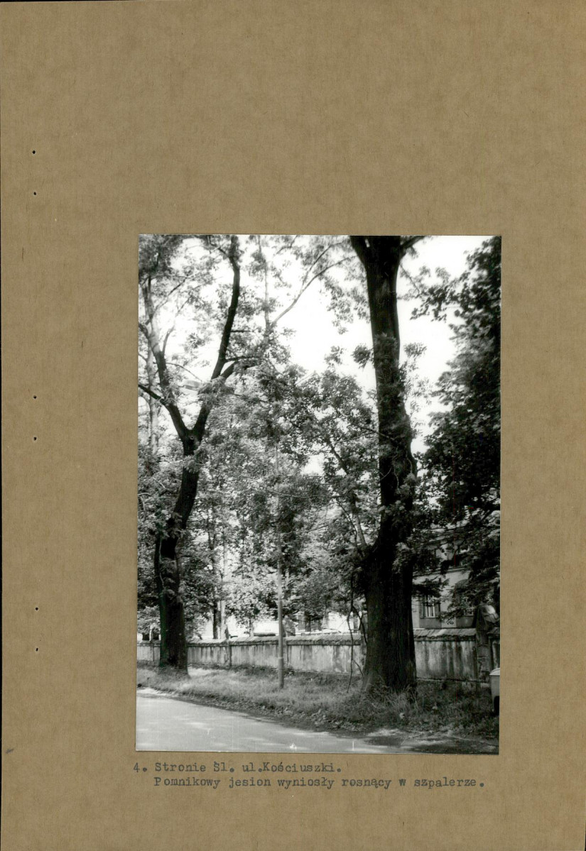 Ewidencja parkowa, skan nr 13