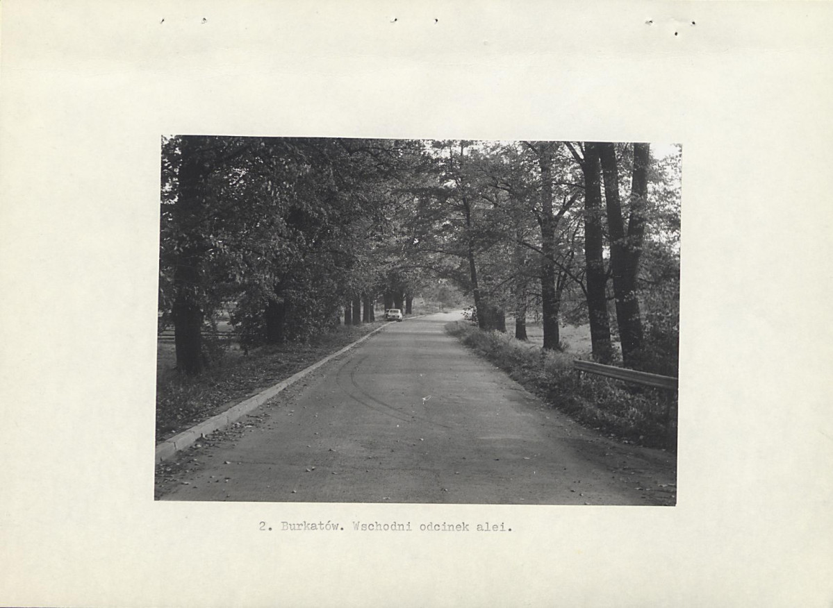 Ewidencja parkowa, skan nr 11