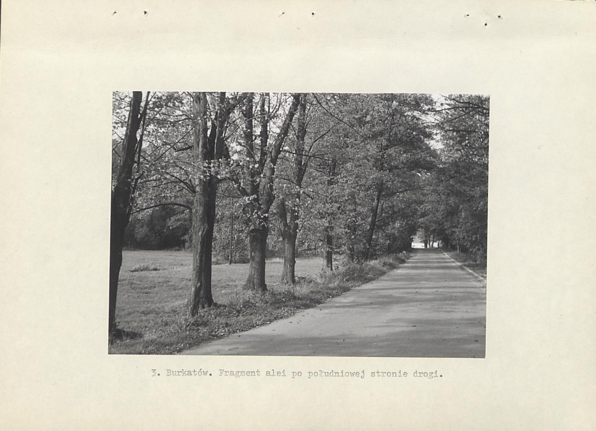 Ewidencja parkowa, skan nr 12