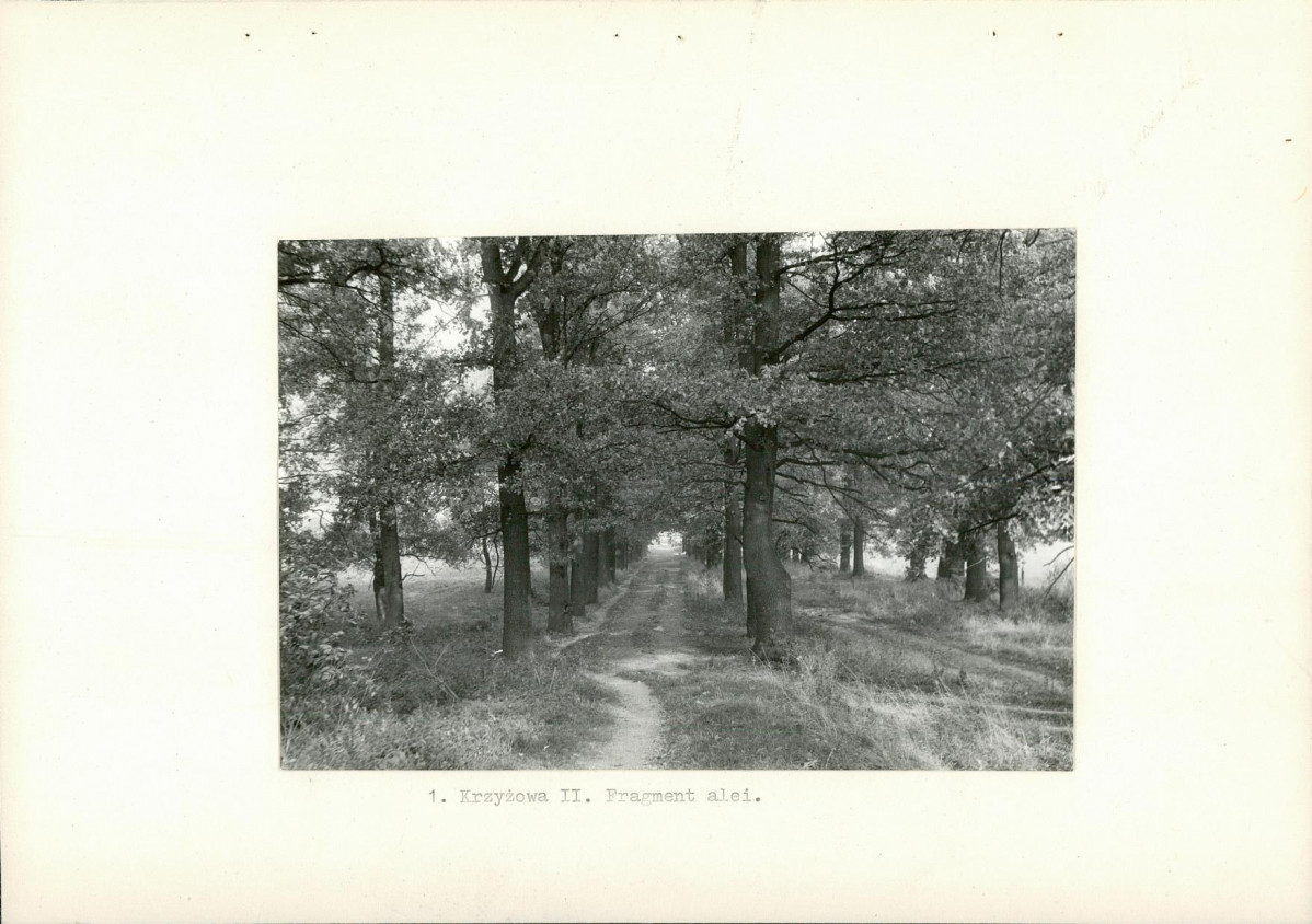 Ewidencja parkowa, skan nr 9