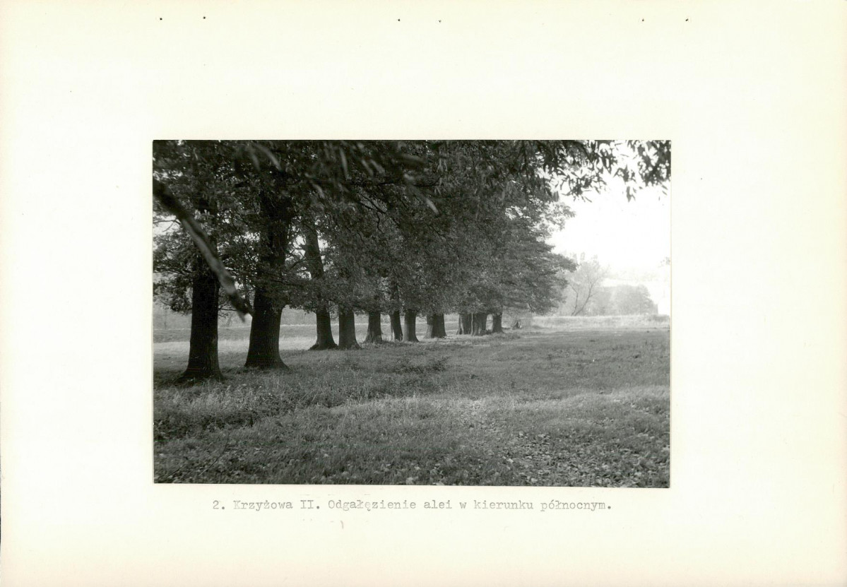 Ewidencja parkowa, skan nr 10