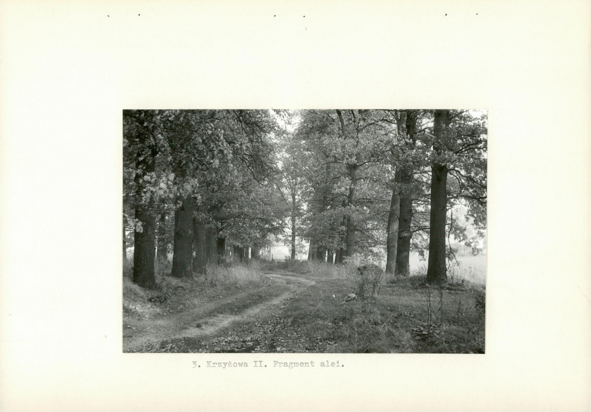Ewidencja parkowa, skan nr 12