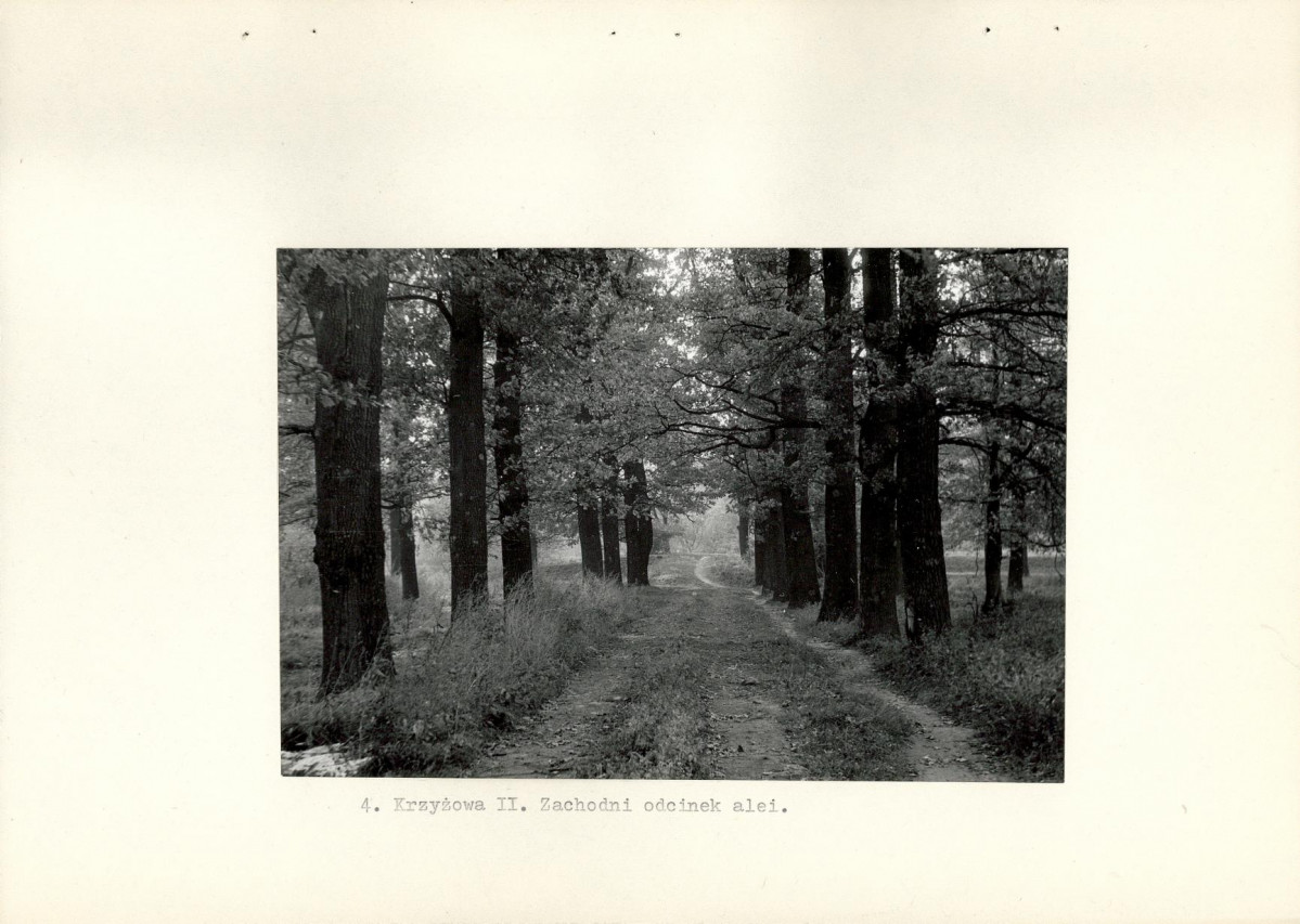 Ewidencja parkowa, skan nr 13
