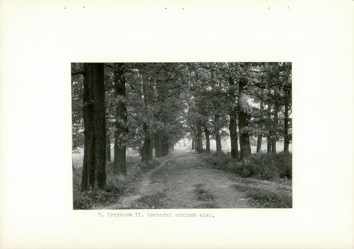 Ewidencja parkowa, skan nr 14