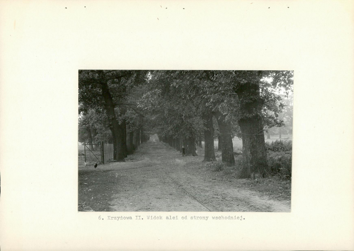 Ewidencja parkowa, skan nr 15