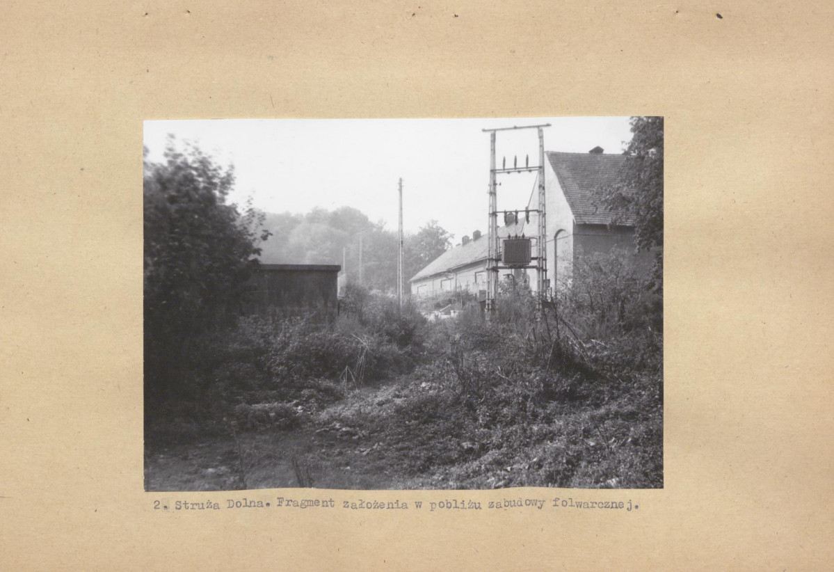 Ewidencja parkowa, skan nr 15
