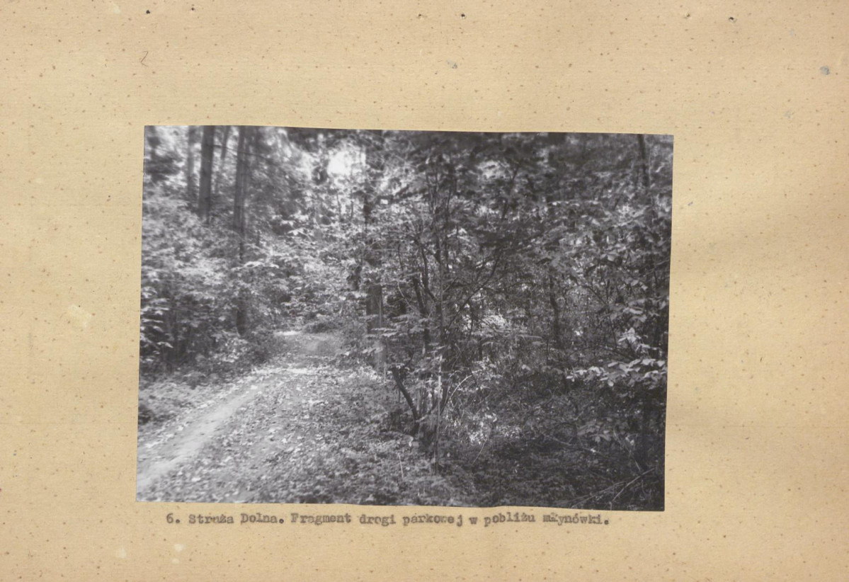 Ewidencja parkowa, skan nr 19
