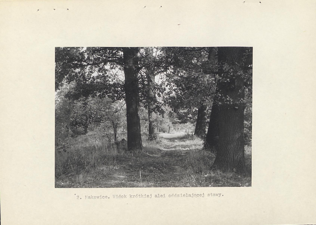 Ewidencja parkowa, skan nr 10
