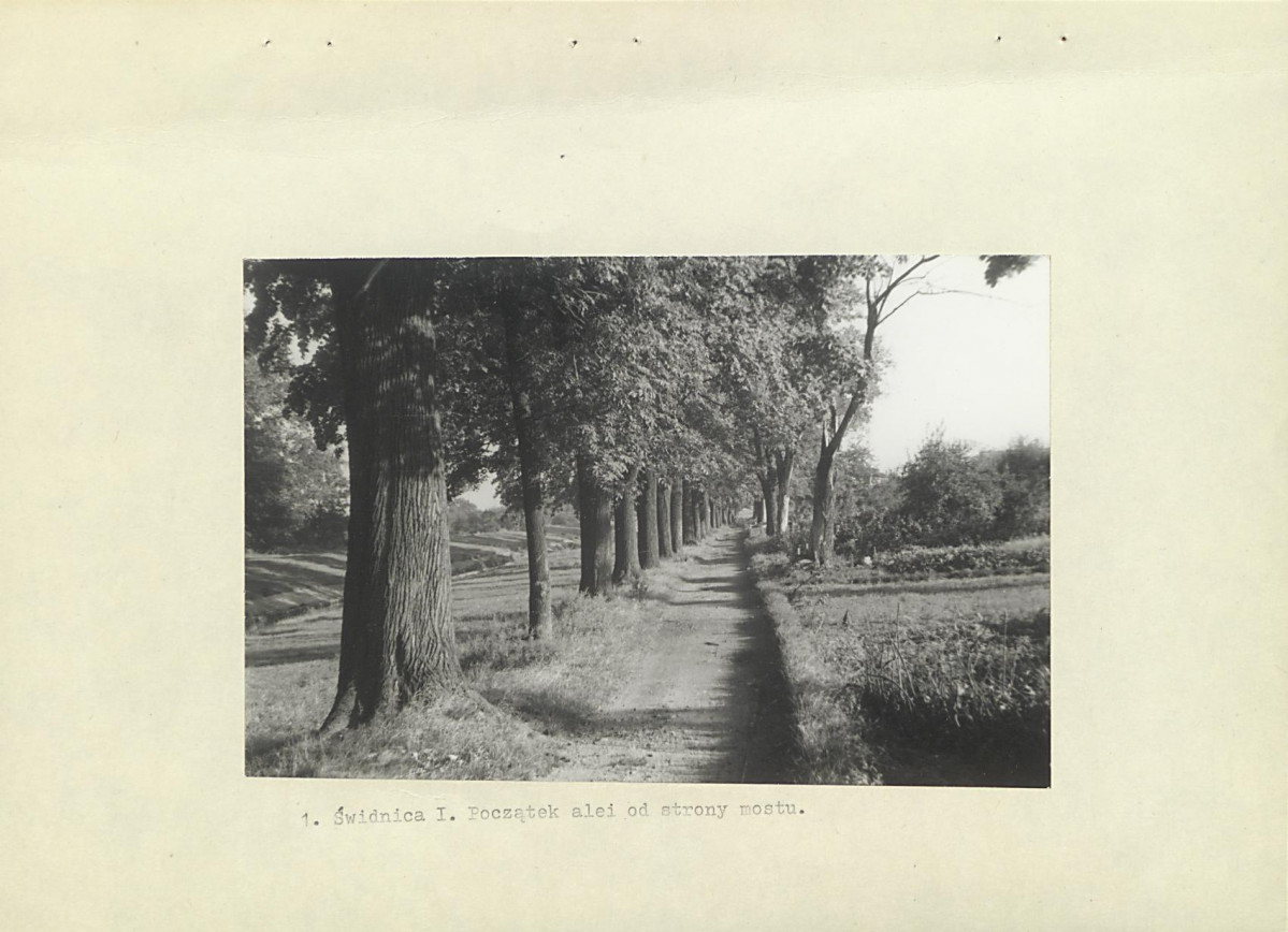 Ewidencja parkowa, skan nr 10