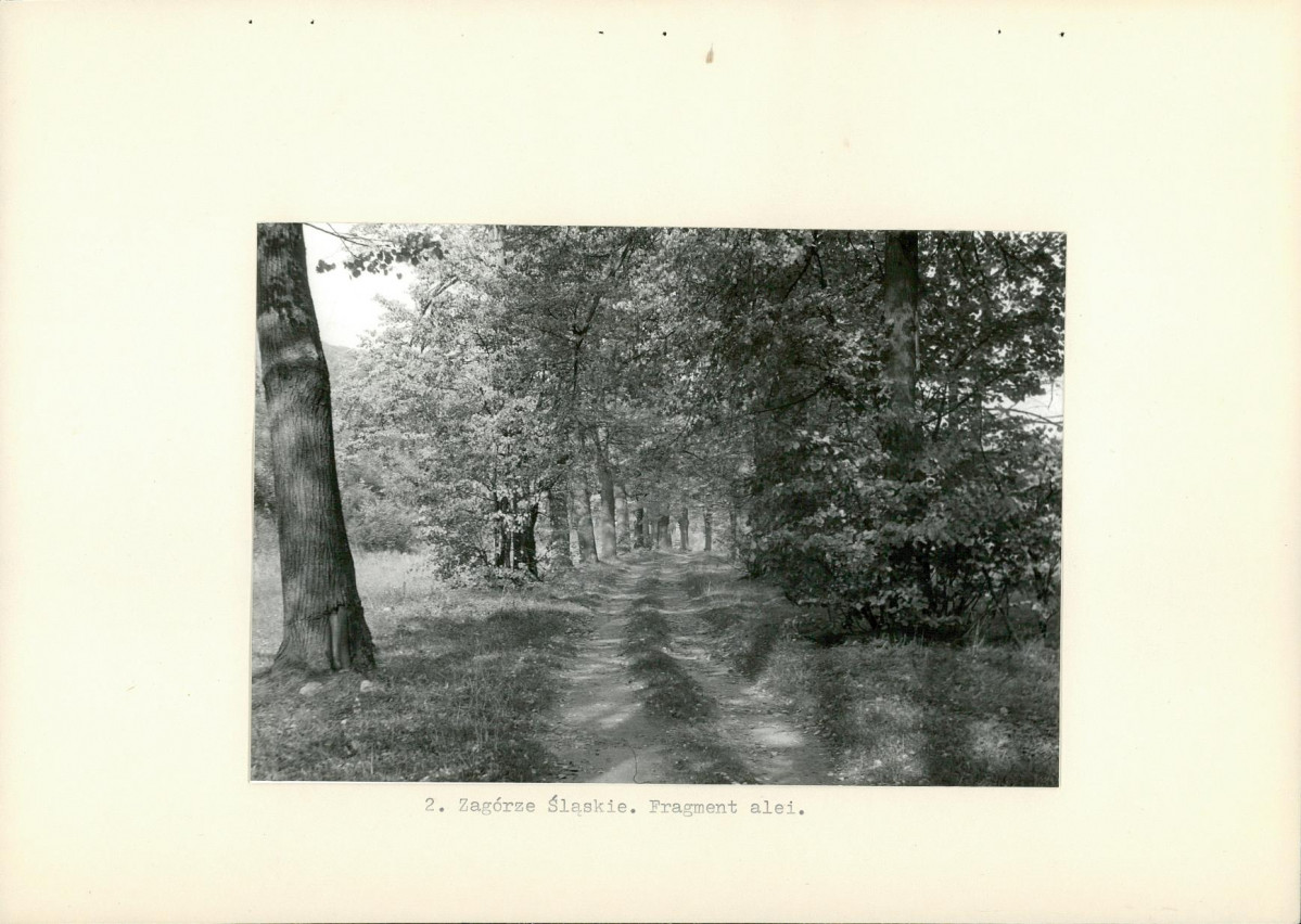 Ewidencja parkowa, skan nr 11