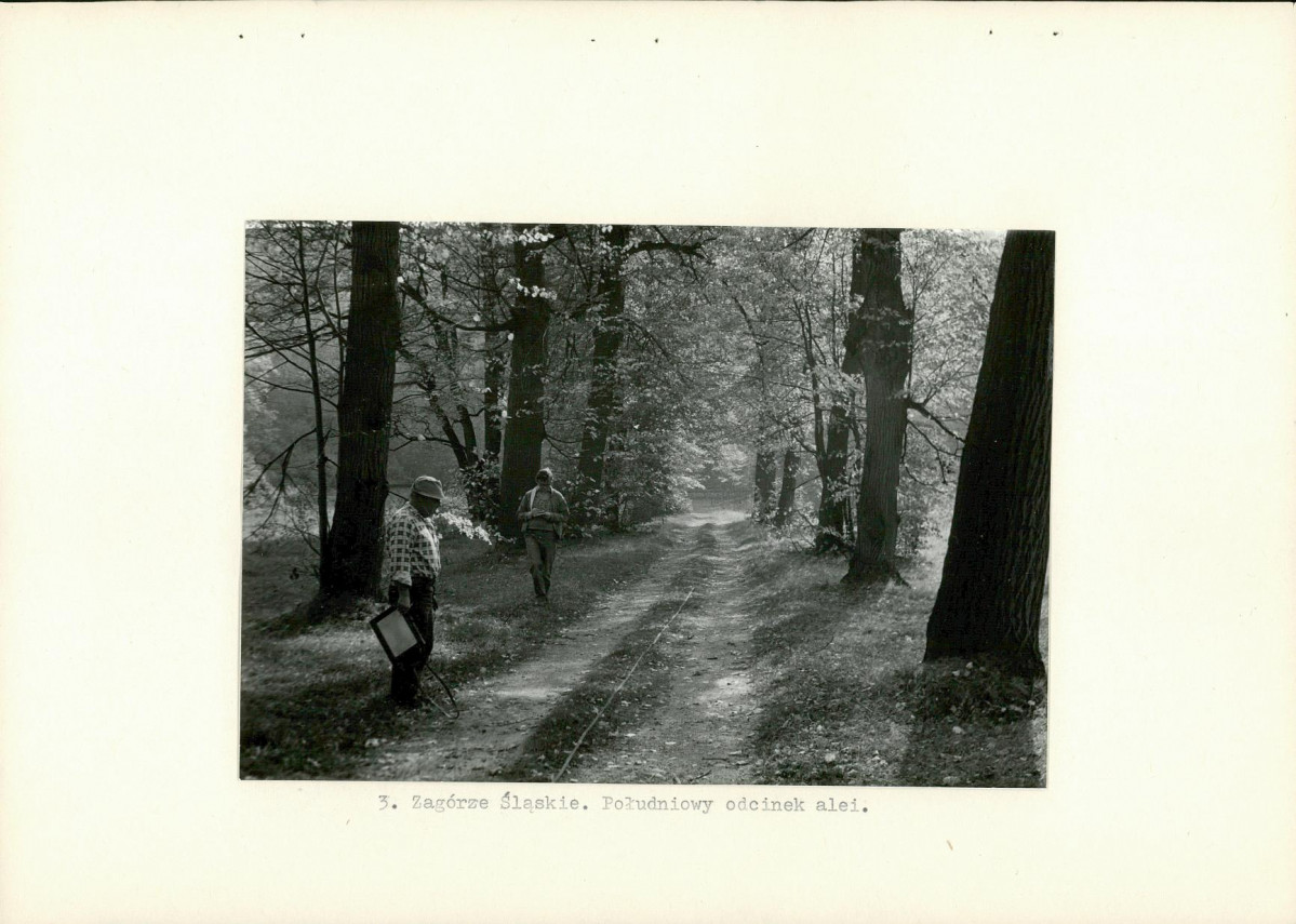 Ewidencja parkowa, skan nr 12