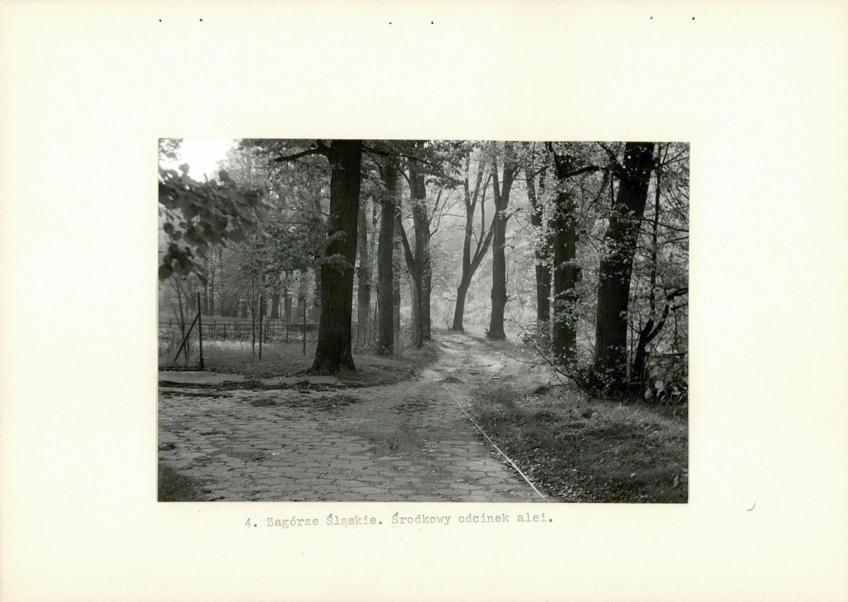 Ewidencja parkowa, skan nr 13