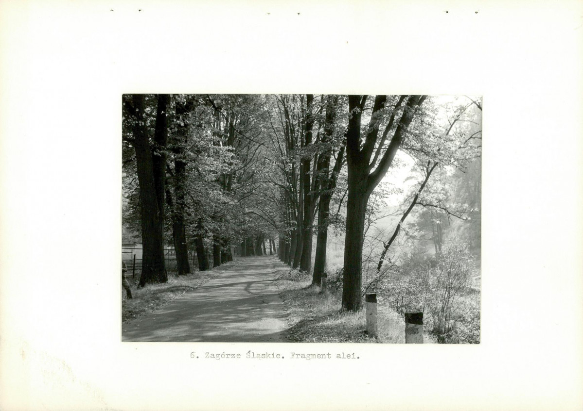 Ewidencja parkowa, skan nr 15