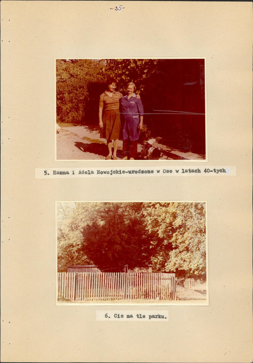 Ewidencja parkowa, skan nr 32