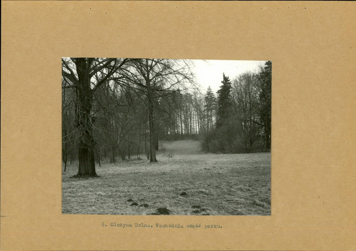 Ewidencja parkowa, skan nr 18