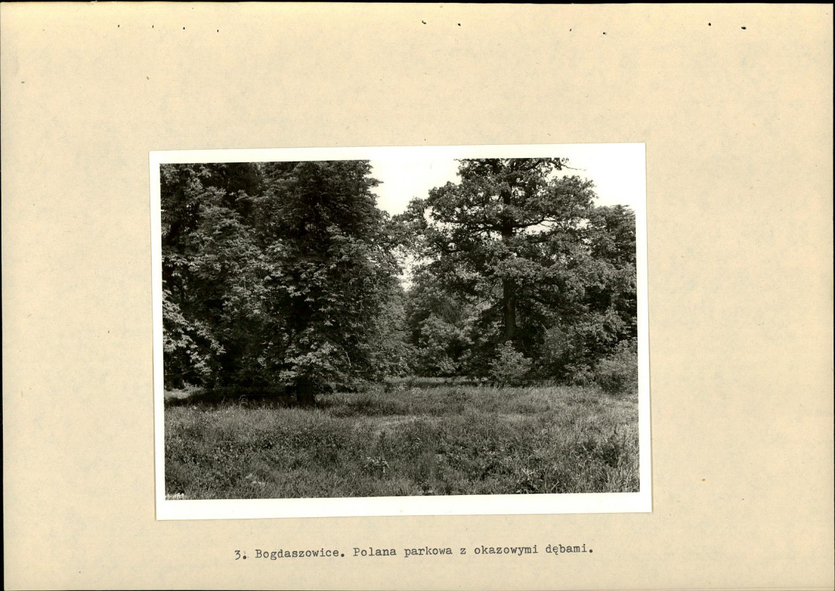Ewidencja parkowa, skan nr 16