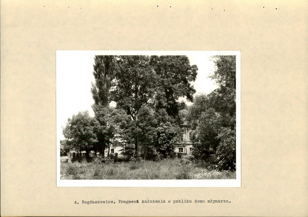 Ewidencja parkowa, skan nr 17