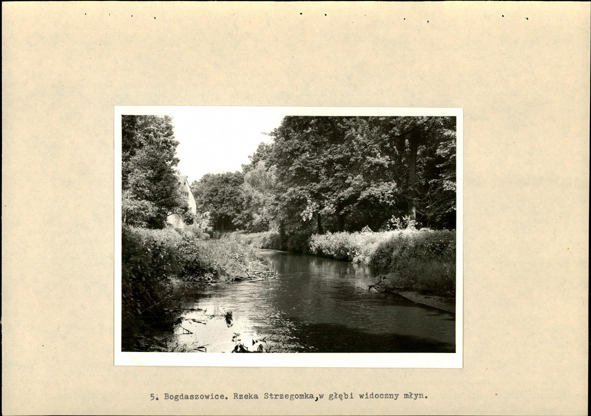 Ewidencja parkowa, skan nr 18