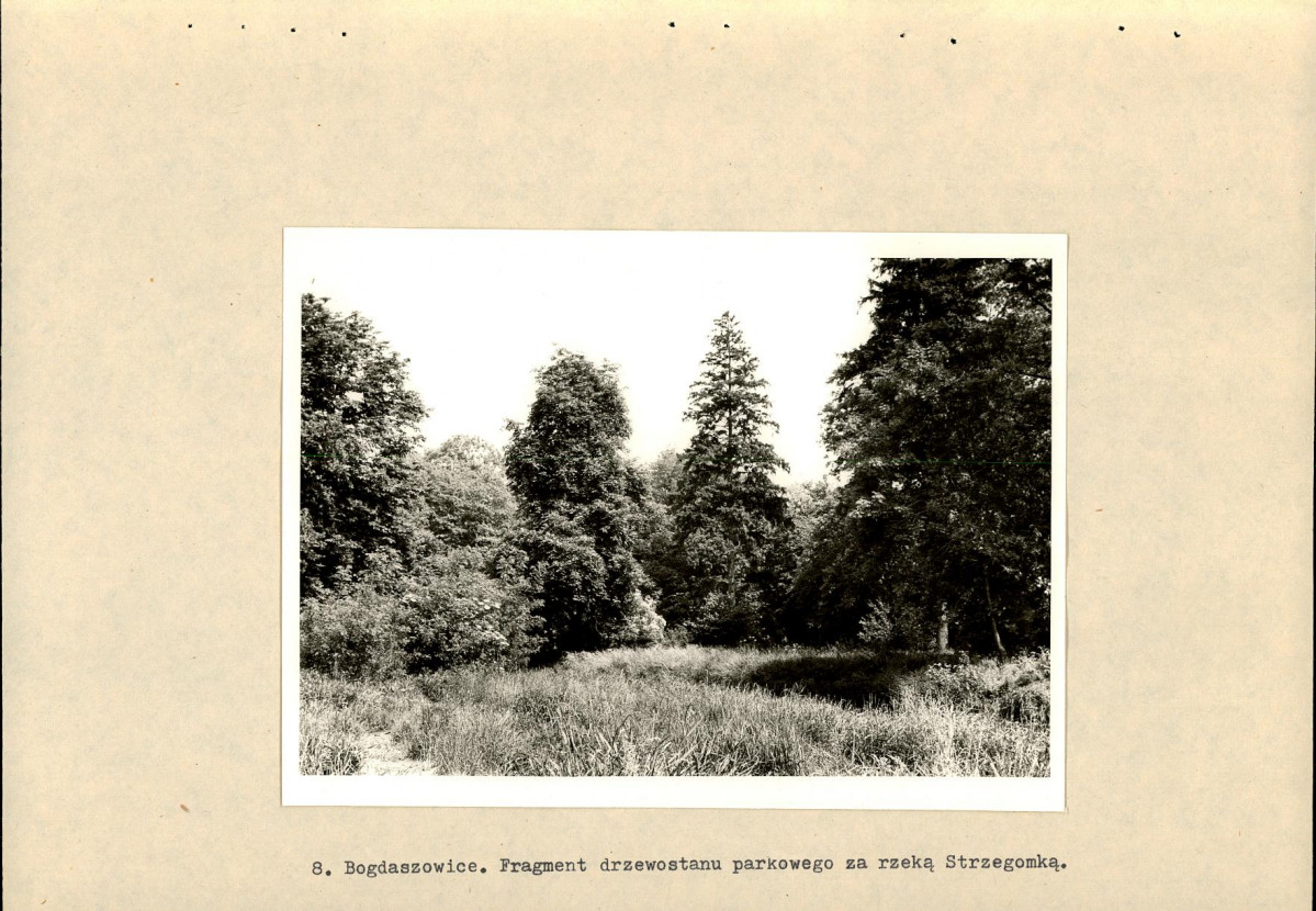 Ewidencja parkowa, skan nr 21