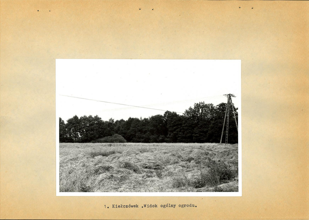 EP - Ewidencja parkowa, skan nr 16