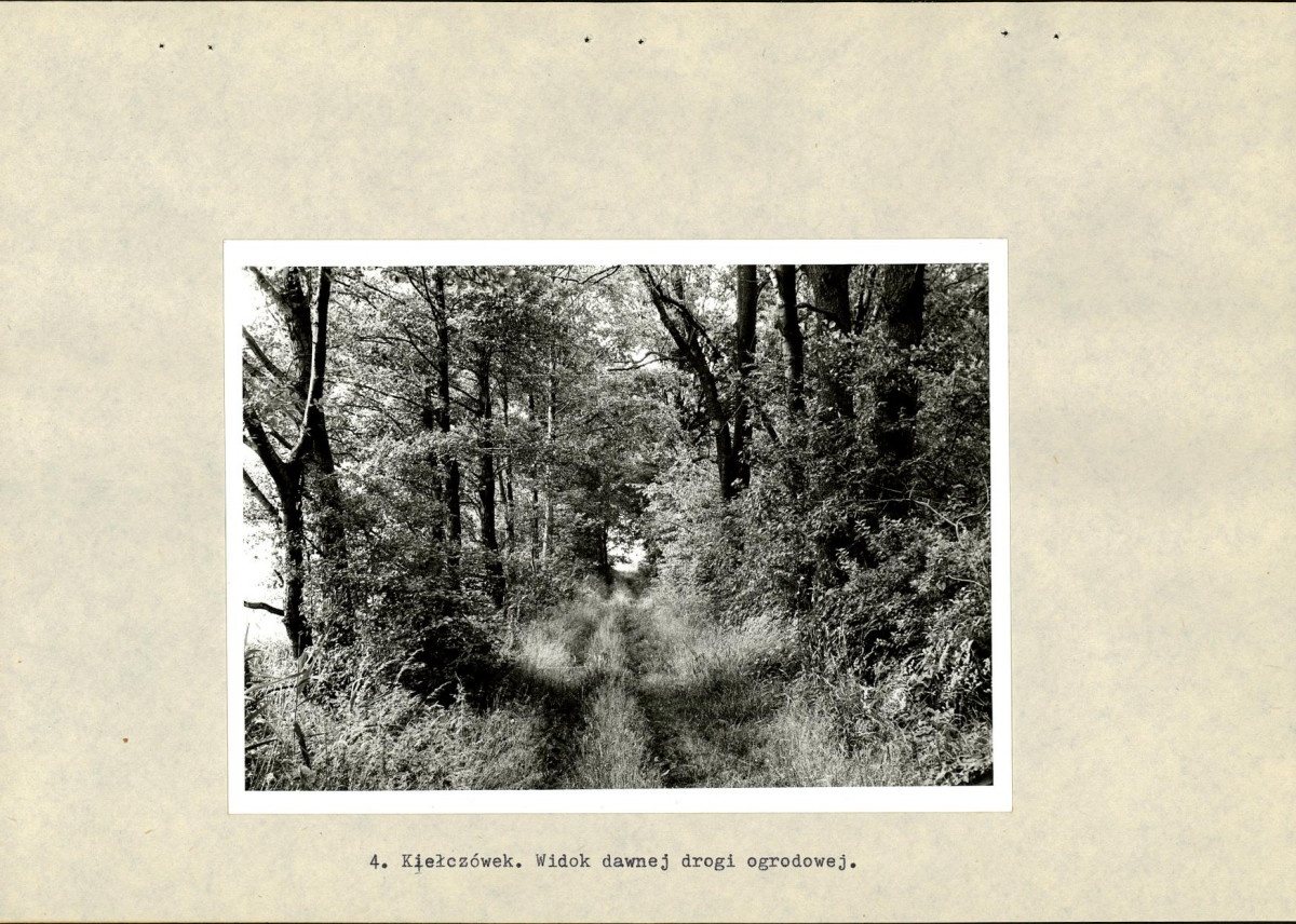 EP - Ewidencja parkowa, skan nr 19
