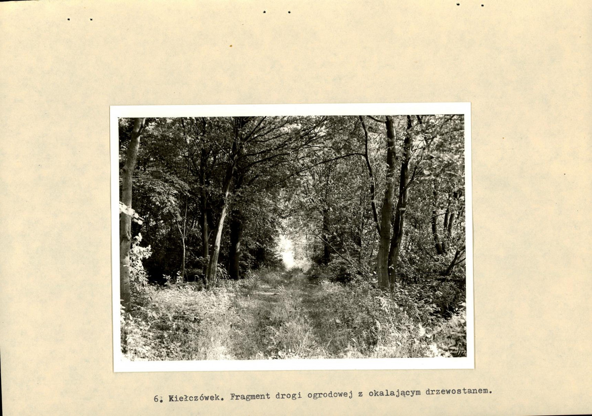 EP - Ewidencja parkowa, skan nr 21