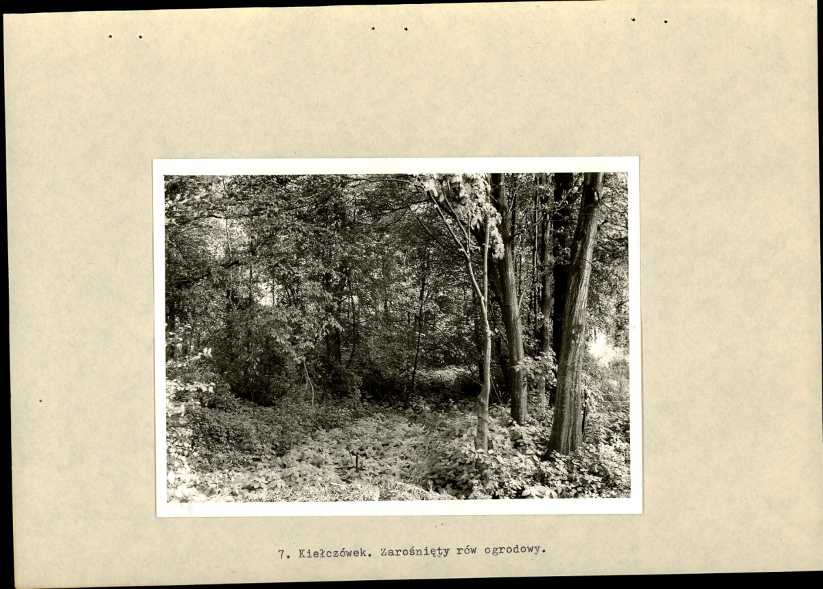 EP - Ewidencja parkowa, skan nr 22