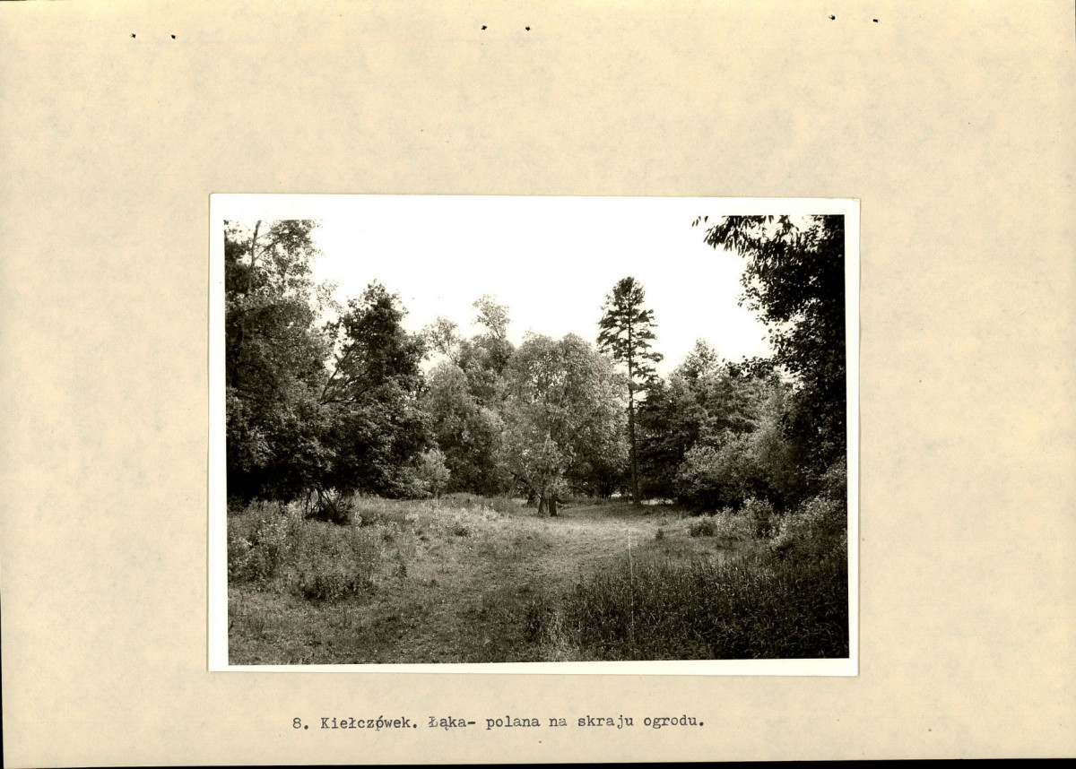 EP - Ewidencja parkowa, skan nr 23