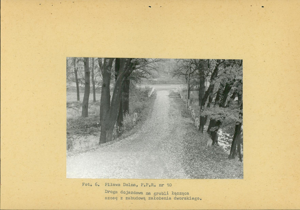 Ewidencja parkowa, skan nr 21