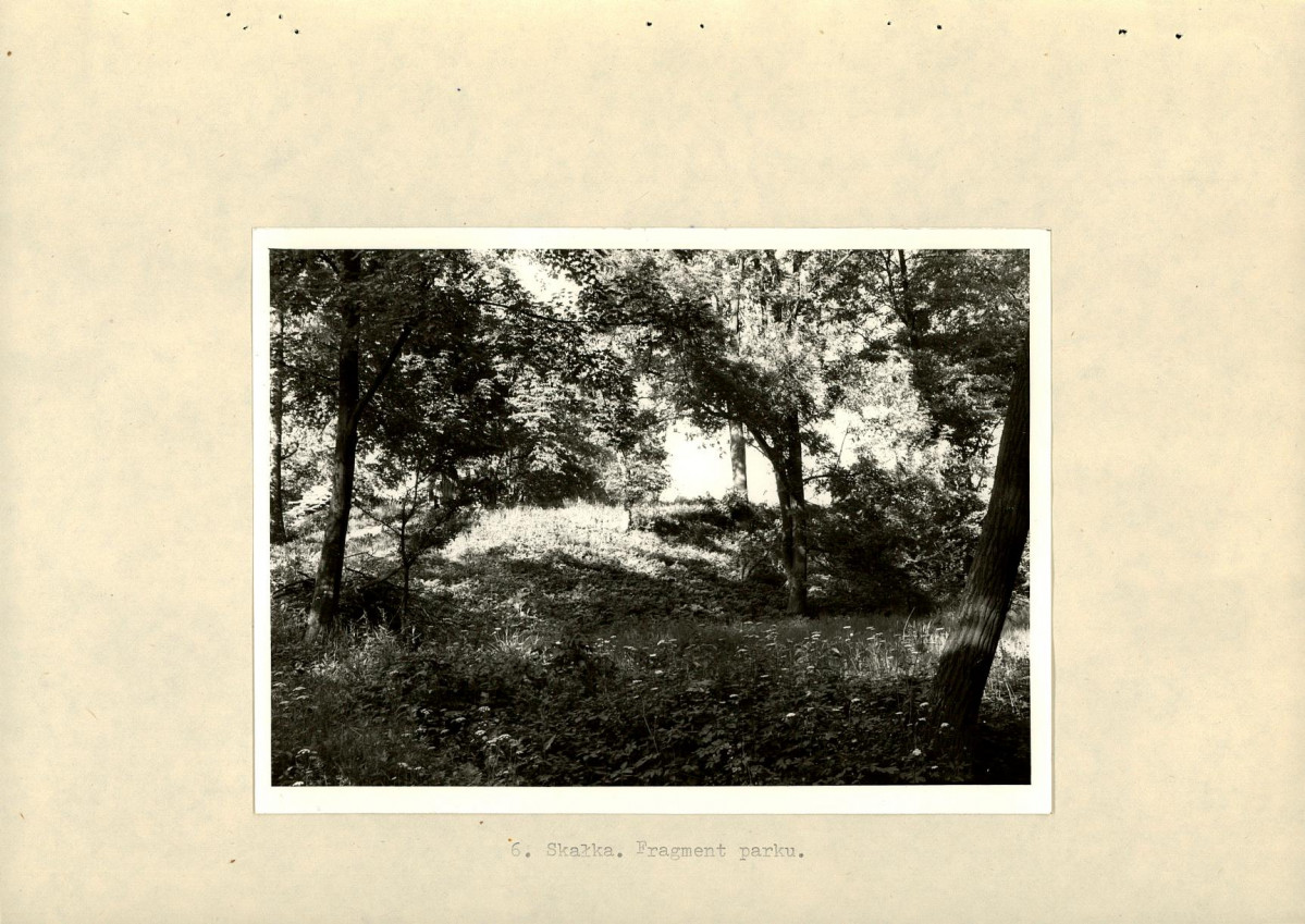 EP - Ewidencja parkowa, skan nr 20