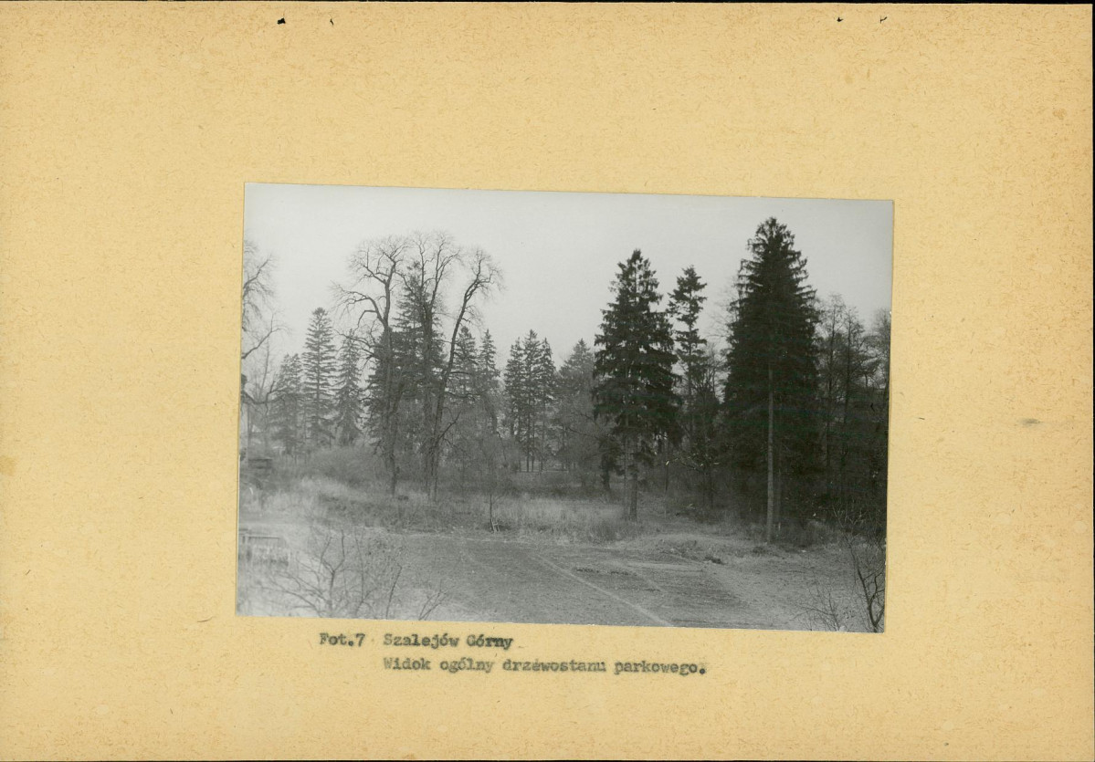 Ewidencja parkowa, skan nr 22
