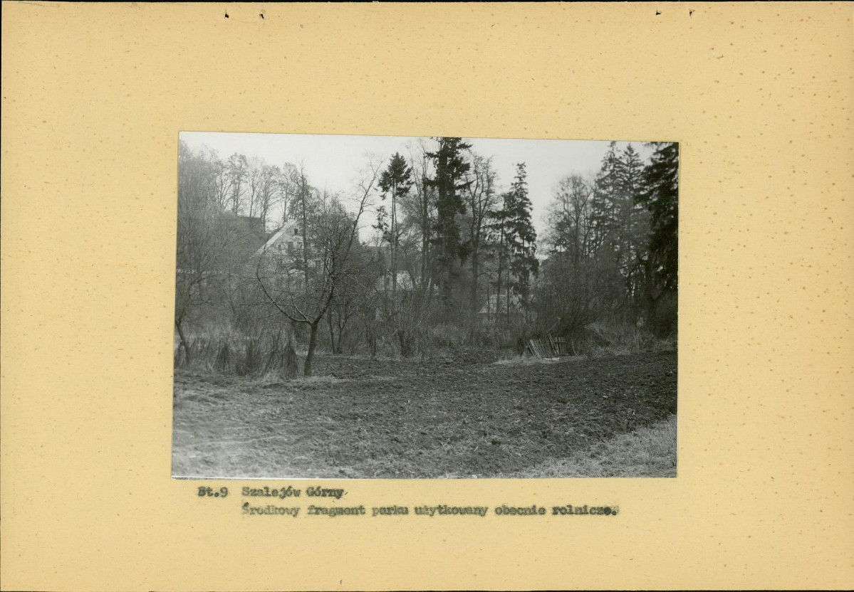 Ewidencja parkowa, skan nr 24