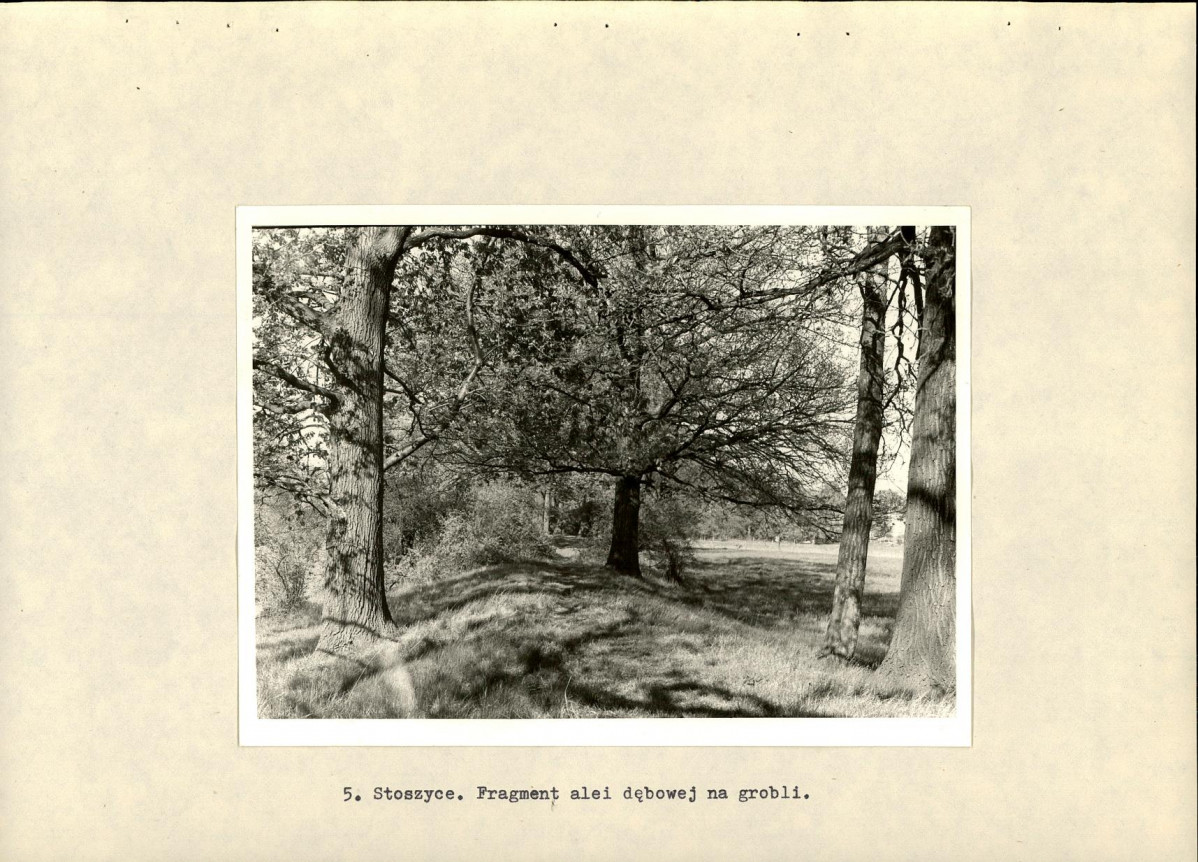 Ewidencja parkowa, skan nr 20