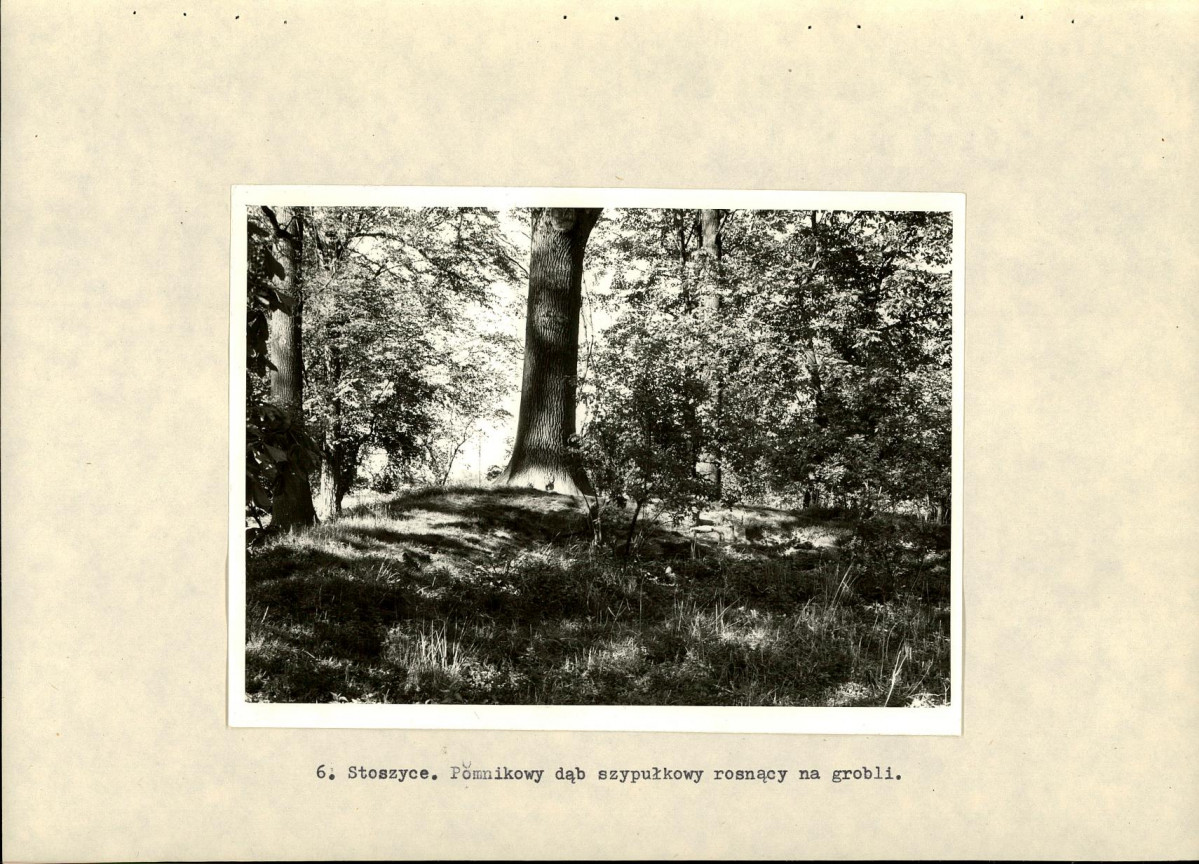 Ewidencja parkowa, skan nr 21