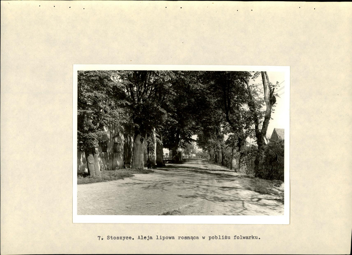 Ewidencja parkowa, skan nr 22
