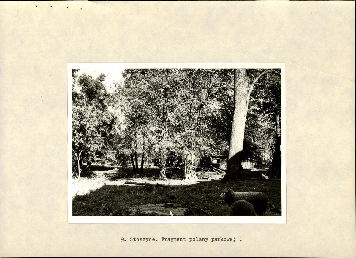 Ewidencja parkowa, skan nr 24