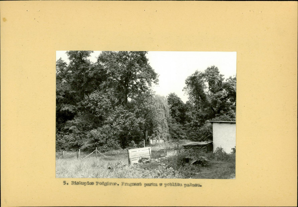 Ewidencja parkowa, skan nr 20