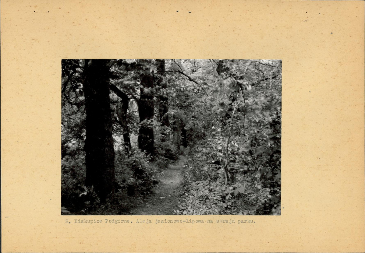 Ewidencja parkowa, skan nr 23