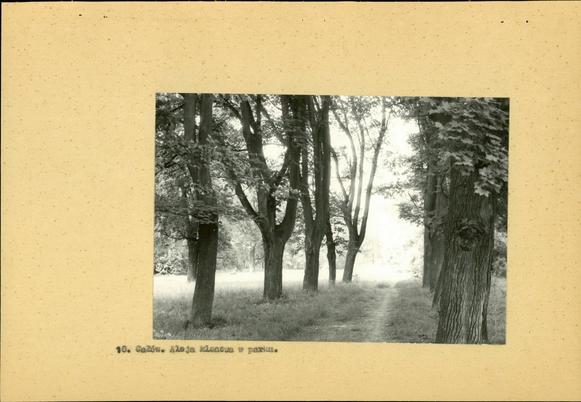 Ewidencja parkowa, skan nr 28