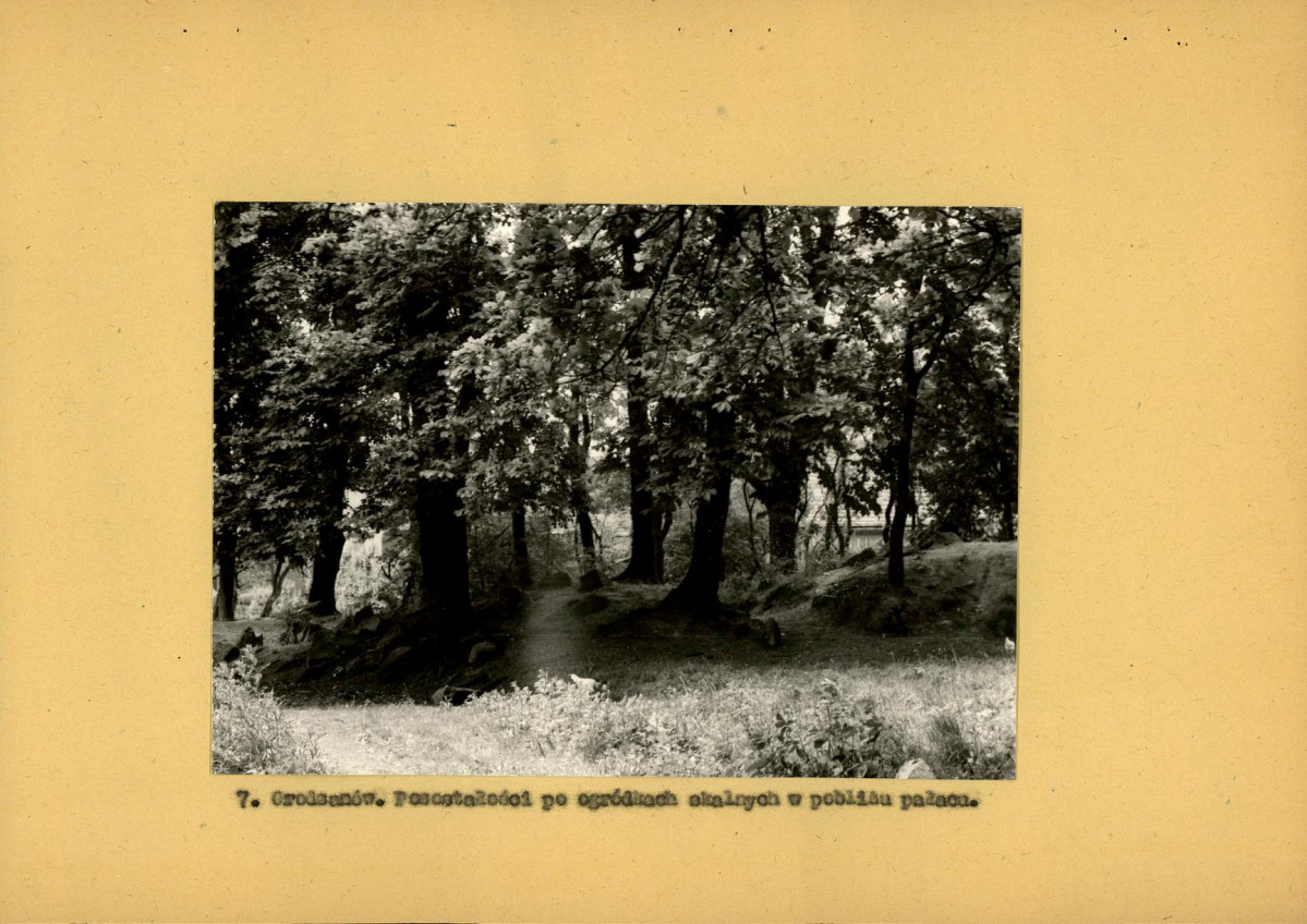 Ewidencja parkowa, skan nr 19