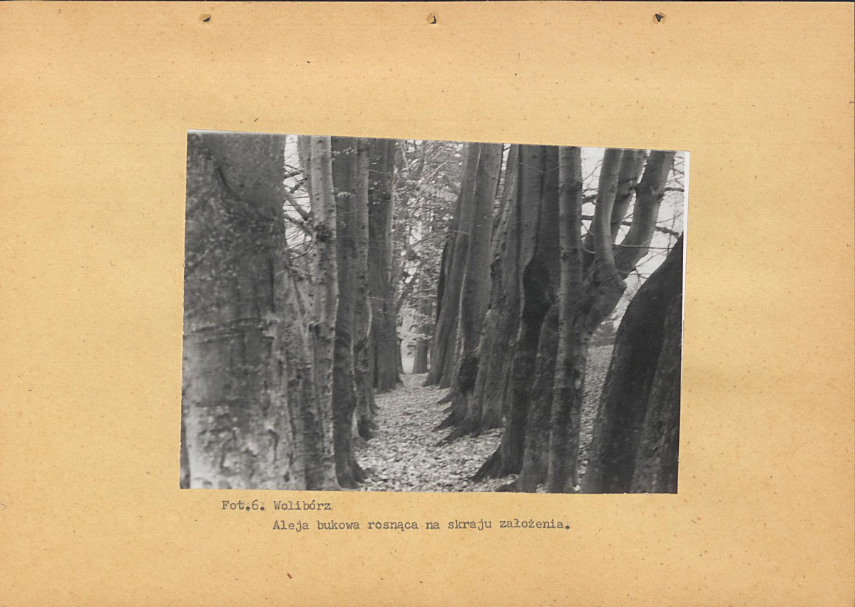 EP - Ewidencja parkowa, skan nr 20