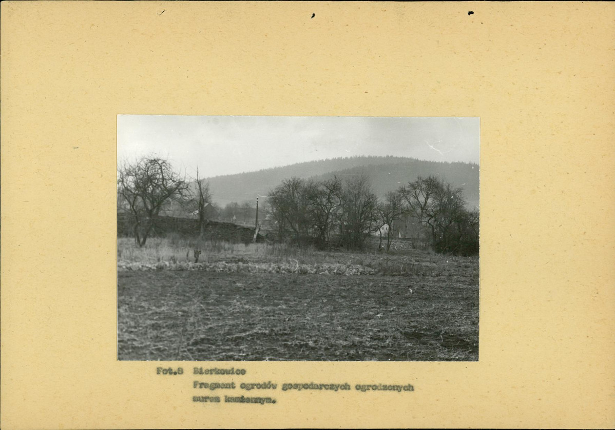 Ewidencja parkowa, skan nr 23