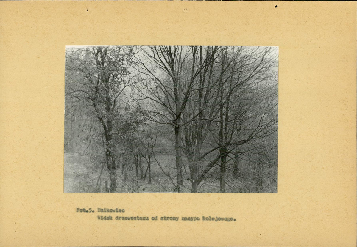 Ewidencja parkowa, skan nr 19