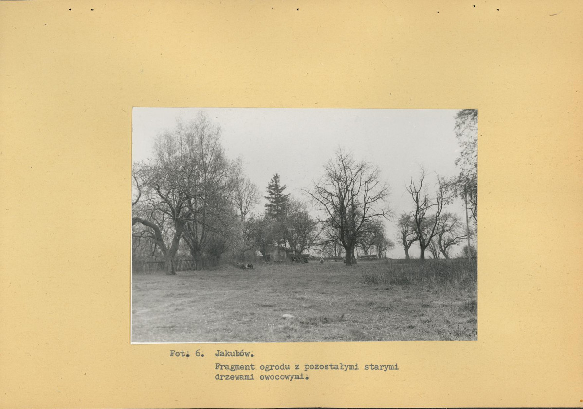 EP - Ewidencja parkowa, skan nr 19