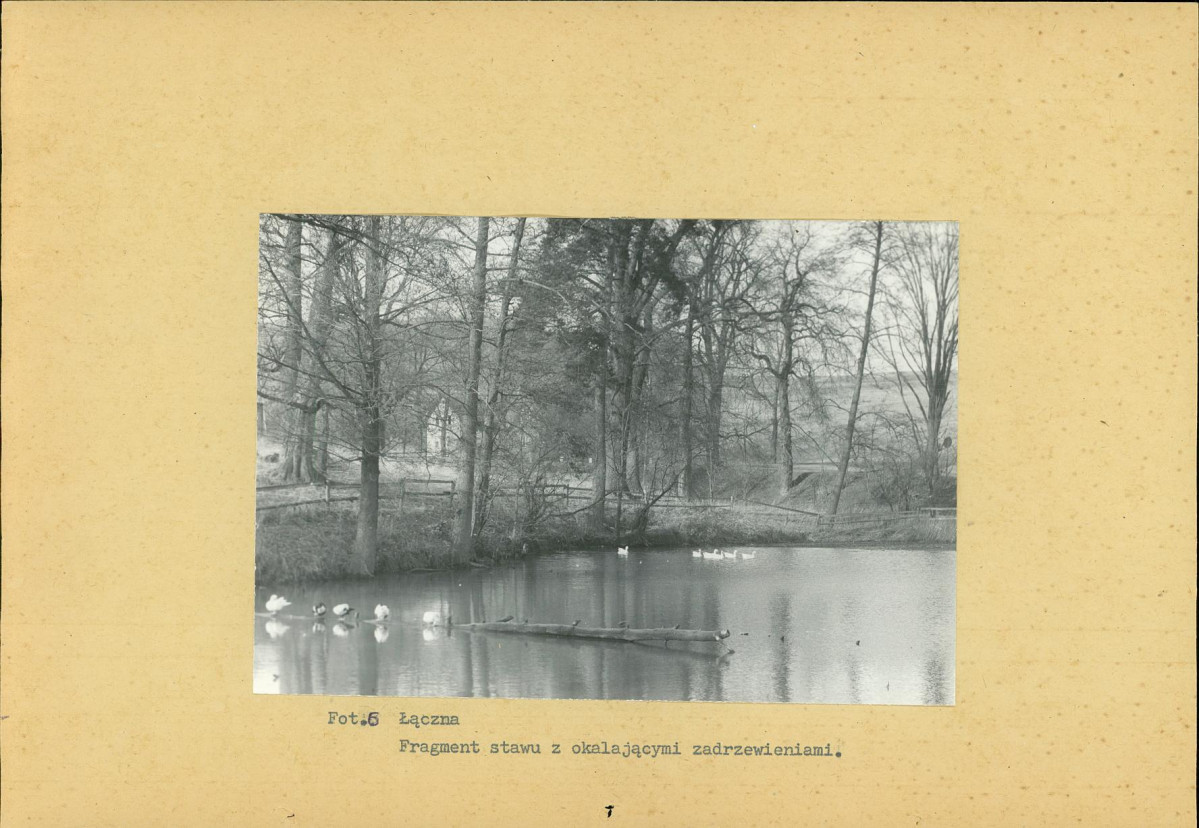 Ewidencja parkowa, skan nr 19