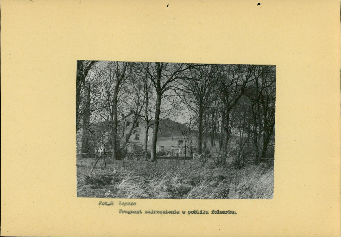 Ewidencja parkowa, skan nr 21